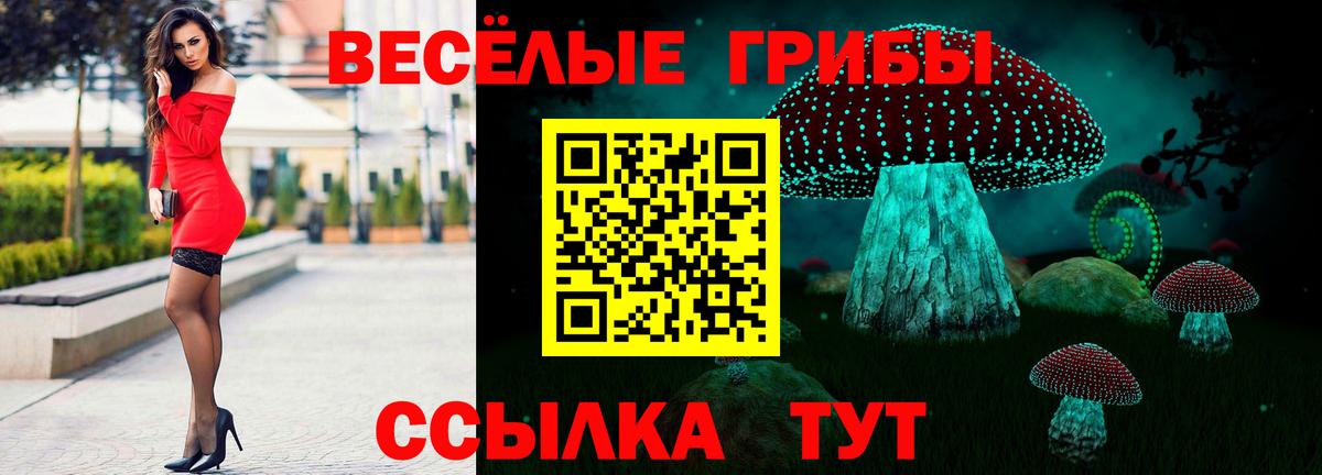 Псилоцибиновые грибы MAGIC MUSHROOMS  Вход с VPN  Ставрополь  Псилоцибиновые грибы Magic Shrooms 