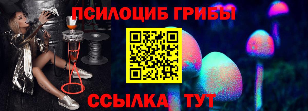Галлюциногенные грибы Psilocybine cubensis Ставрополь